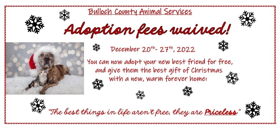 Waived Adoption Fees