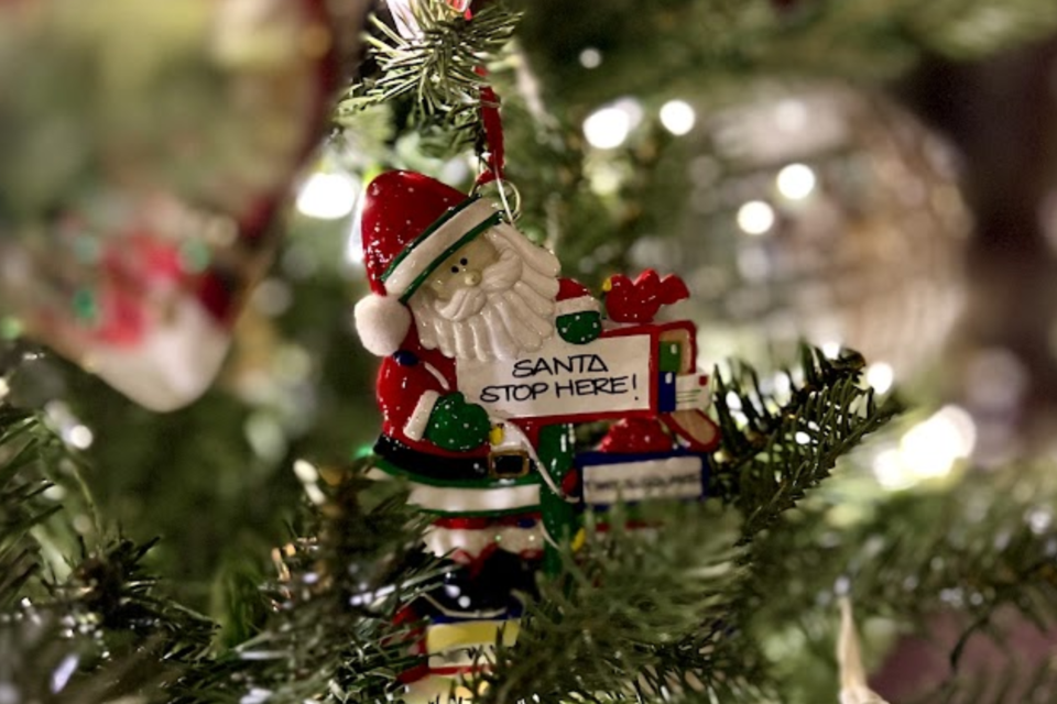 Santa tree orn