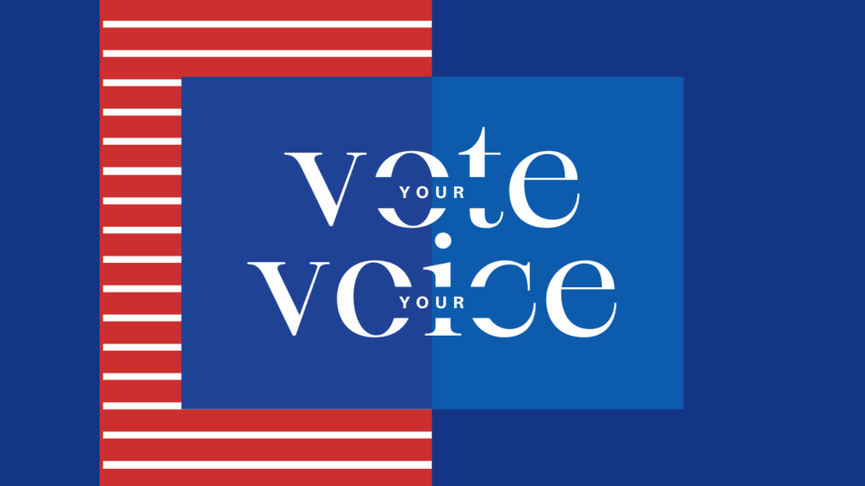 Vote-your-voice-1200-×-675-px