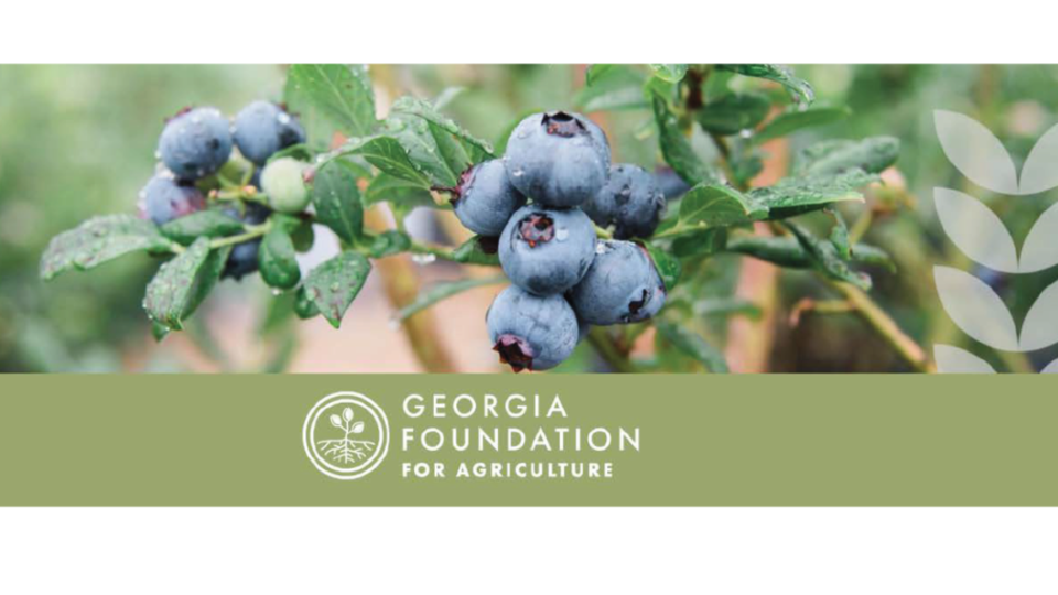 The Georgia Foundation for Agriculture