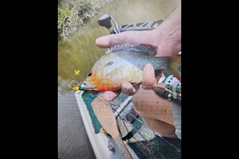 2Bonthewater Guide Service - Ambrose Custom Lures There comes a time when  every fisherman knows what they want. Brian Ambrose from Schuylkill County  knows lures and how to create a work of