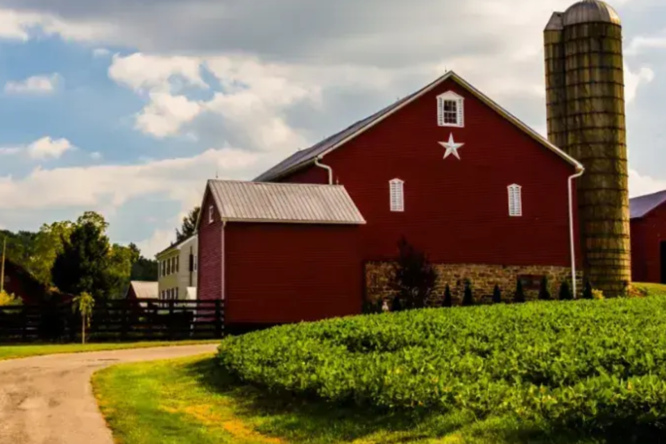 farm-stock
