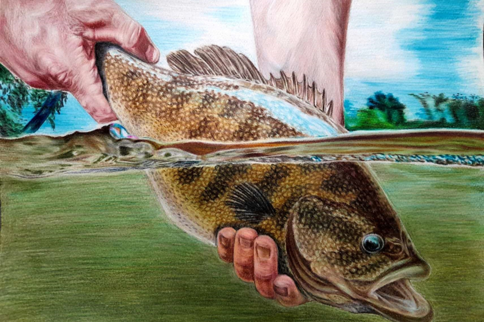 Grades 10-12 First Place: Luca Camay's art on the Flathead Catfish