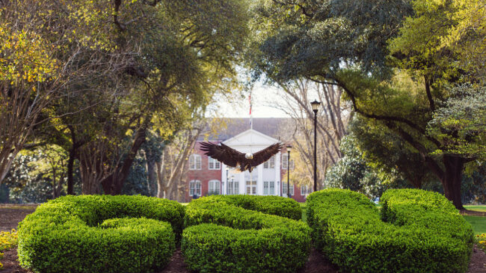 georgia-southern-freedom