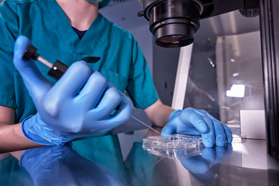 ivf-stock-photo