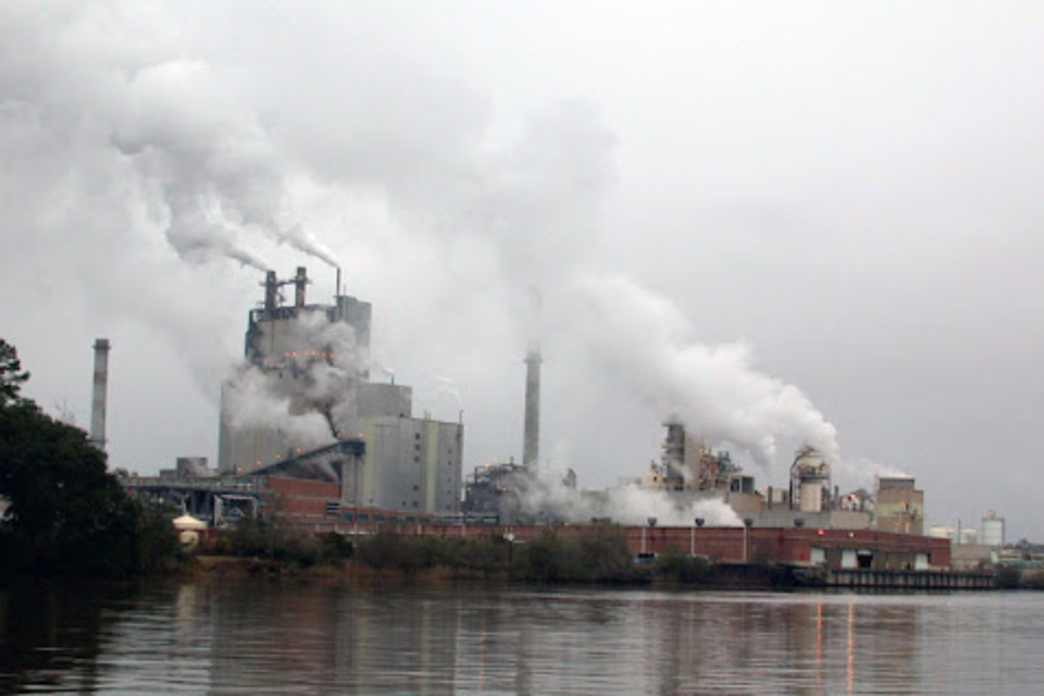 savannah-paper-mill