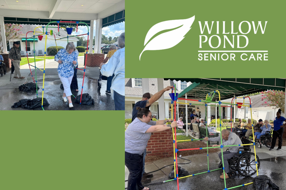 willow-pond-wacky-wash