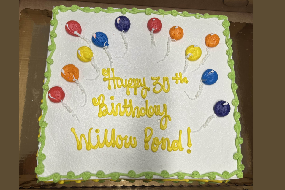 wp-30-years-birthday-cake