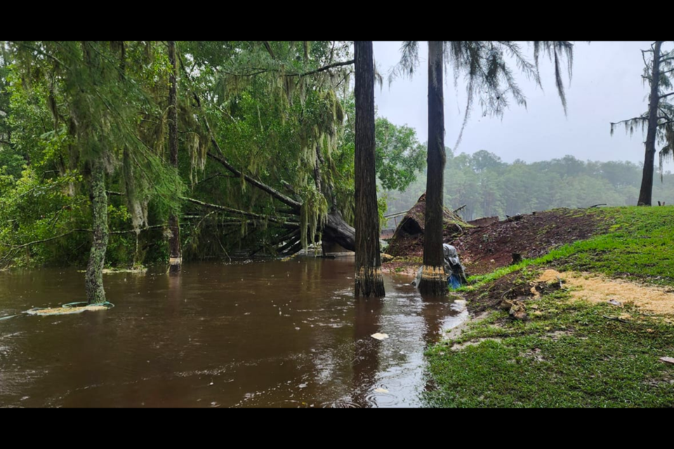 tsdebby-images-15