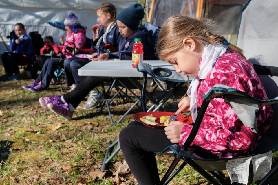 Guiding groups in Mount Forest and across the county are facing volunteer shortages.
