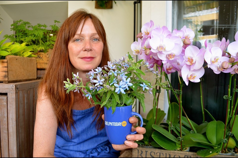 Kelli O’Hara owner of Sweet Violets on Wilson Street shares her passion for flowers