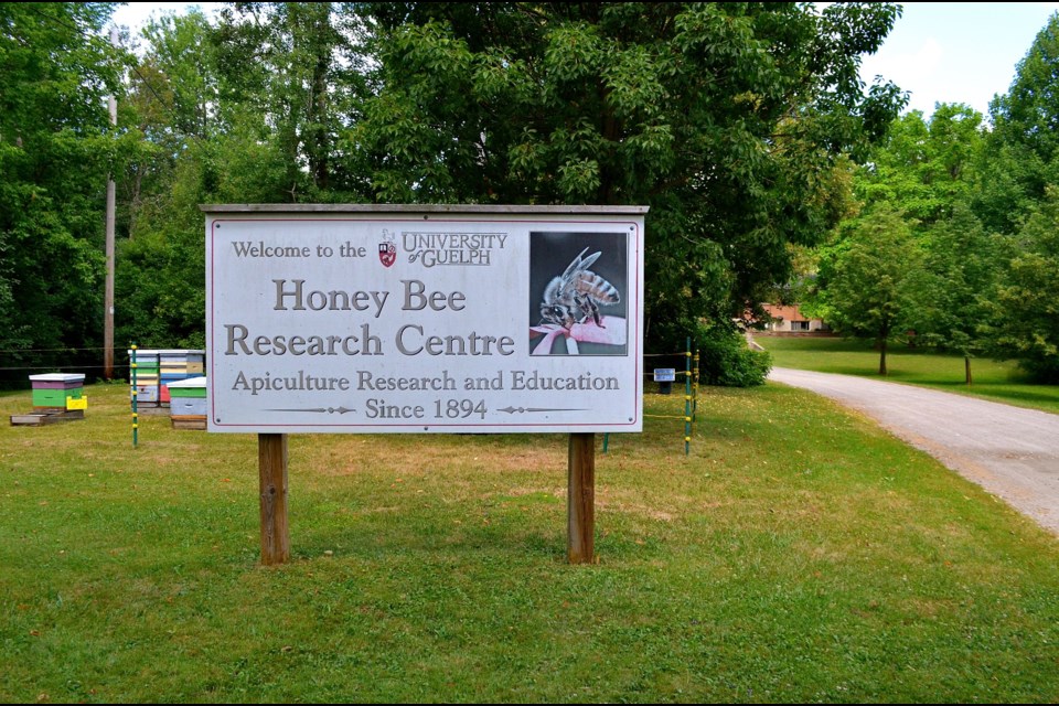 The entrance to the University of Guelph’s Honey Bee Research Centre on Stone Road. Troy Bridgeman for GuelphToday