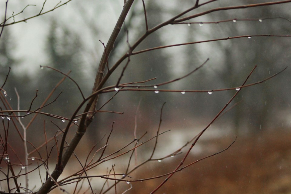 20190111RainAK6