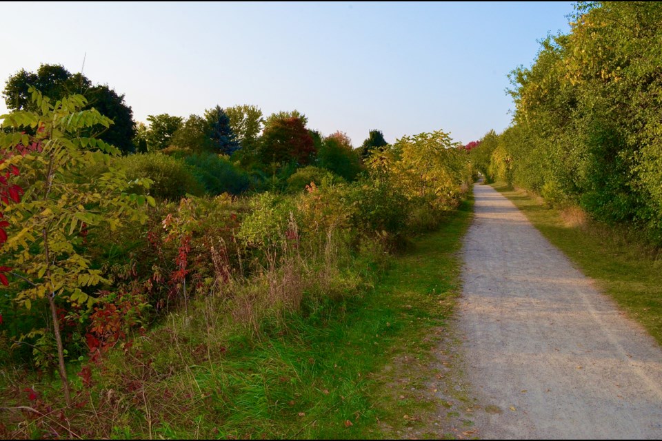 This stretch of trail starts beside the bus stop on Grange Road near Auden Street and follows along Hadati Creek toward Peter Misersky Memorial Park. Troy Bridgeman for GuelphToday