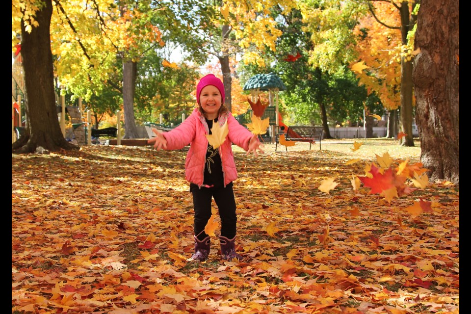 A girl plays with leaves in St. George Park. Anam Khan/GuelphToday