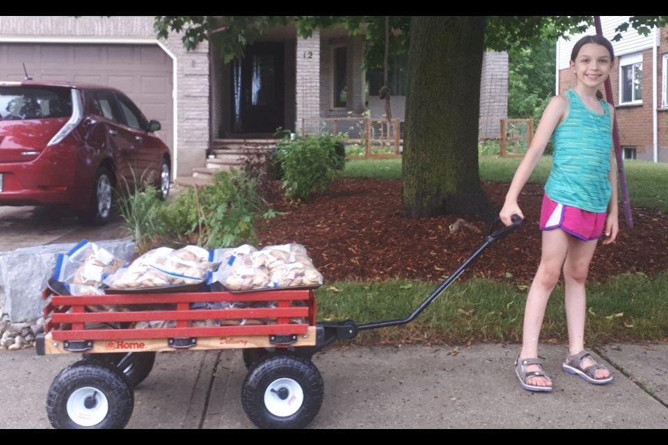 Alyssa delivering cookies to her neighbourhood to raise money for Hamilton General Hospital.  Supplied photo