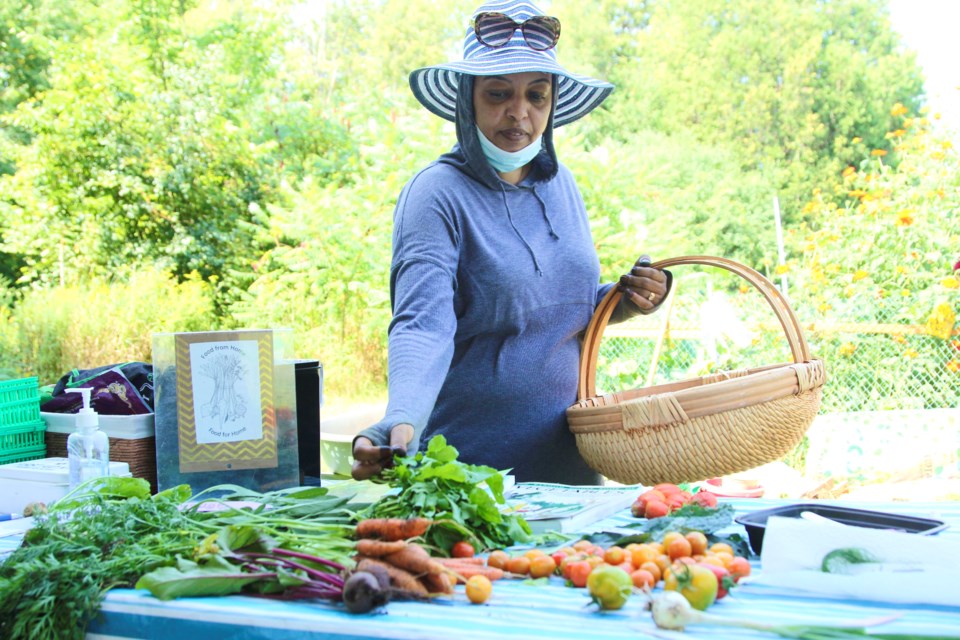 Rehab Badri harvests vegetables from a community garden on Westmount Road. The Food from Home = Food for Home project helps newcomers learn gardening skills and connect to their homeland through food they grow here. 