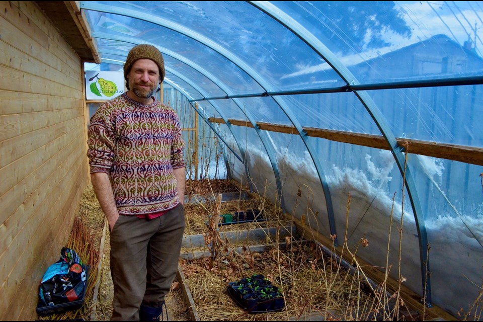Urban Orchardist Matt Soltys in the greenhouse at his home on Lawrence Avenue in Guelph