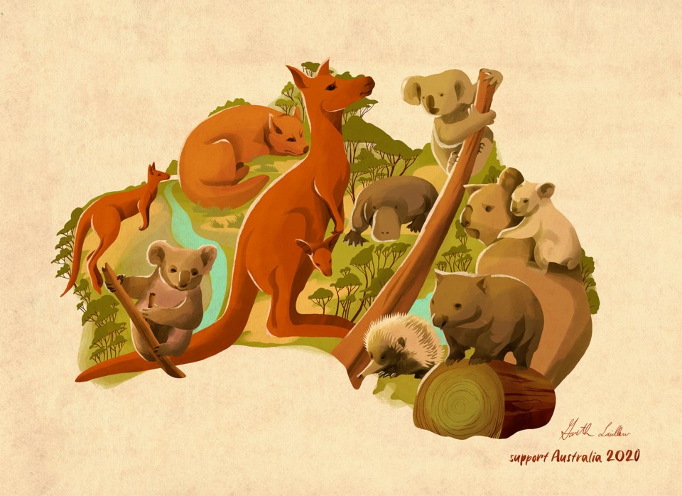 australia illustration-web