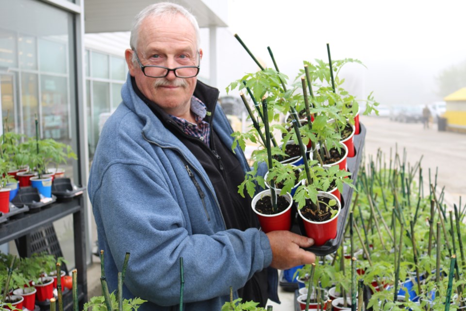 Chris Davis, the Heirloom Tomato Man of Mount Forest.