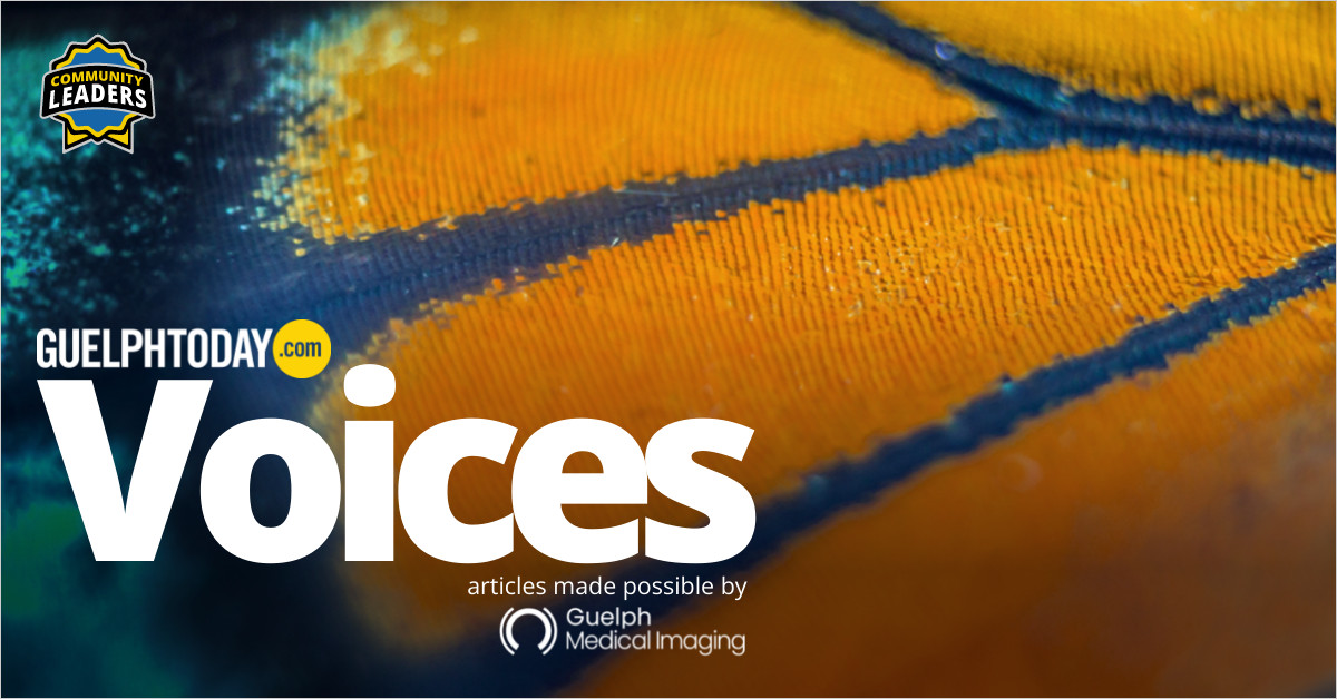 Voice CLP image