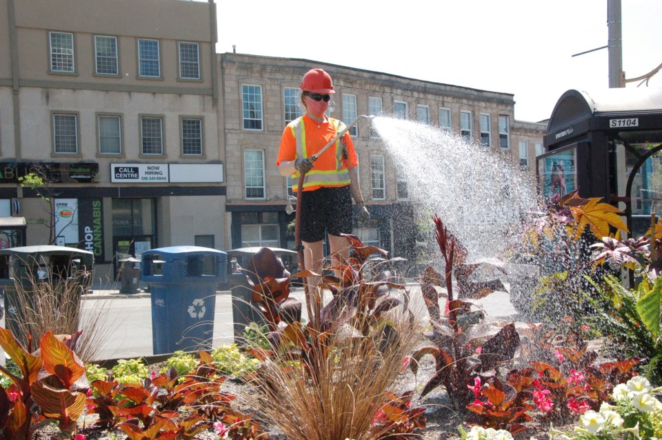 20210612 Watering flowers downtown RV