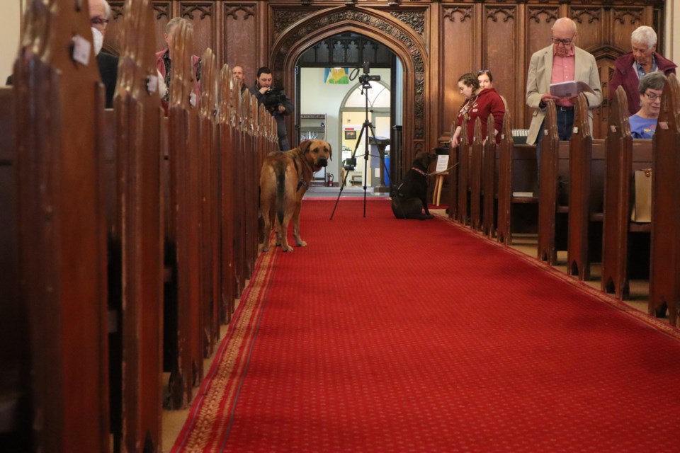 St. George's Anglican Church held a pet blessing event on Sunday, with several dogs brought along by parishoners for the occasion.