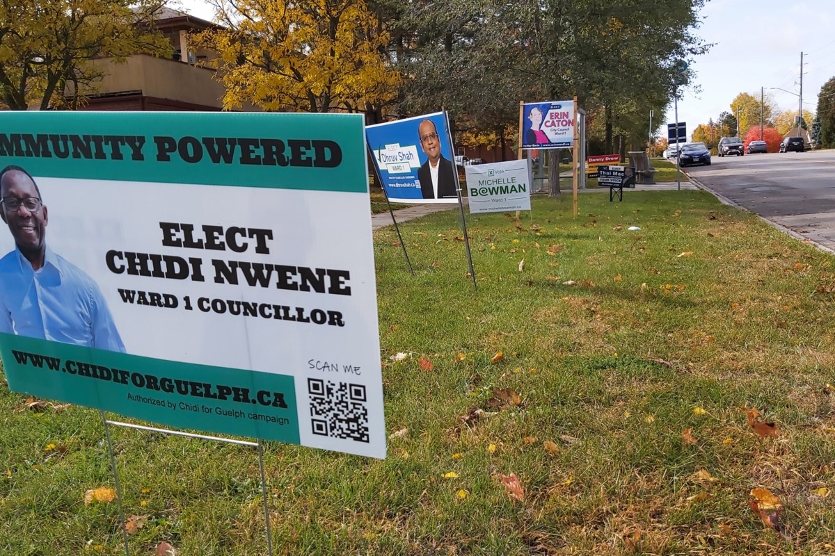 Sign wars run rampant in city election Guelph News