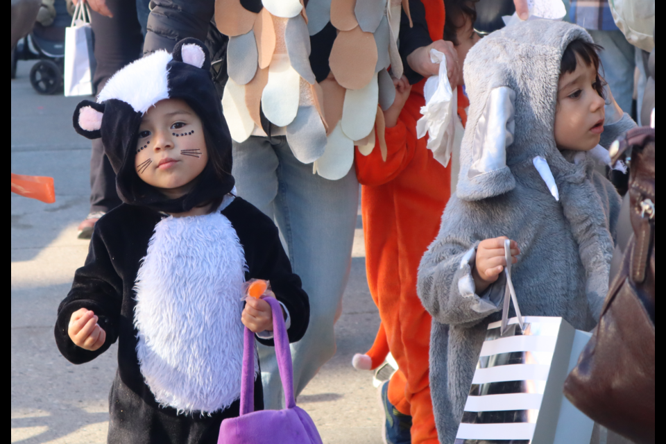 Children dressed up in their Halloween costumes getting candy from a local business. The fifth annual Downtown Guelph Trick-or-Treat event was in full swing on Saturday.