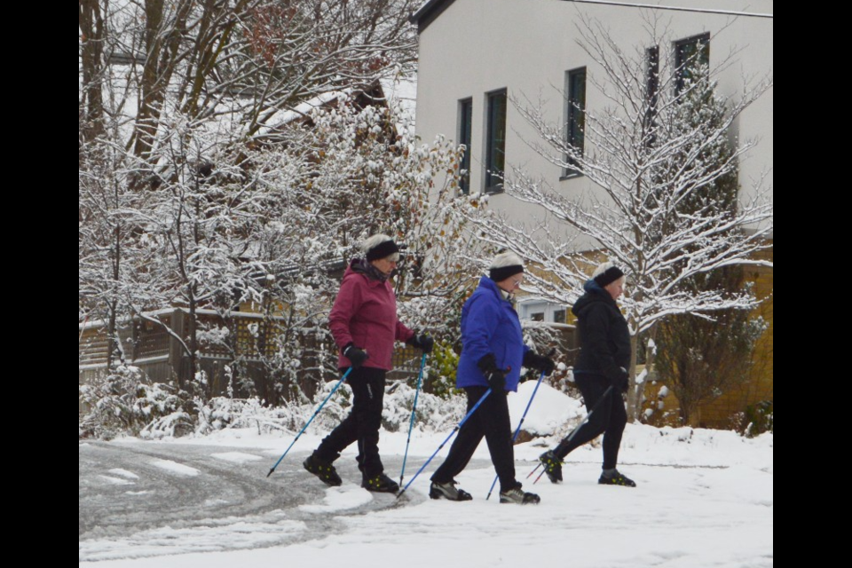Three women trek in the snow with their walking sticks across from Exhibition Park. 