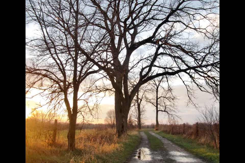 View of the land at the Ignatius Jesuit Centre off of Highway 6.