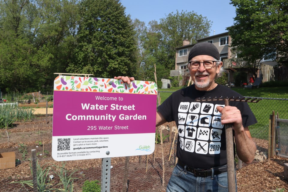 Paddy Fitzgerald started the Water Street Park Community Garden five years ago.