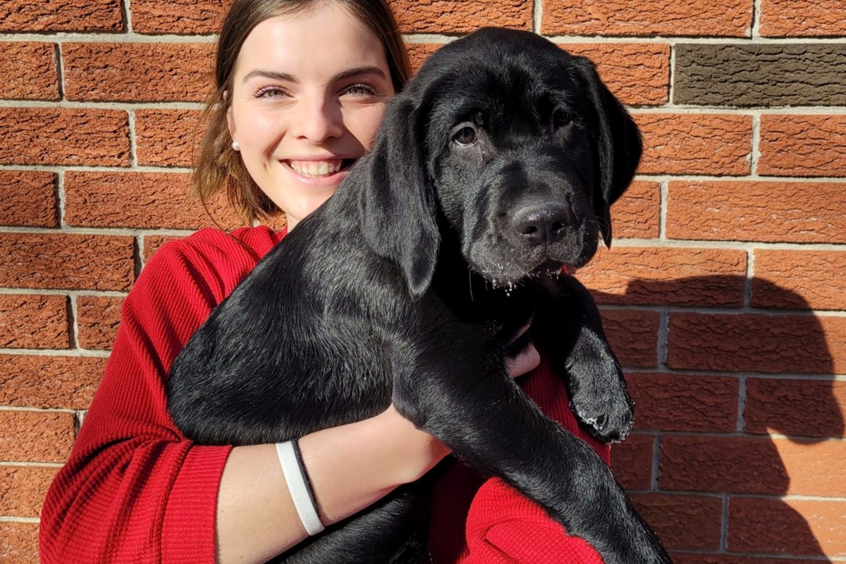 comedy-hypnosis-show-to-raise-money-for-autism-dog-services-guelph-news