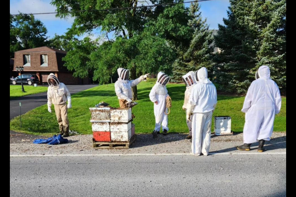 Beekeepers on Guelph Line in Burlington after a trailer carrying 5 million bees toppled. 