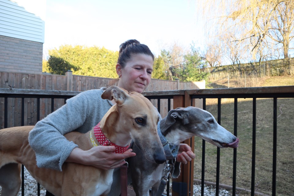 Susanne Latour with her greyhounds Shandy and Peanut.