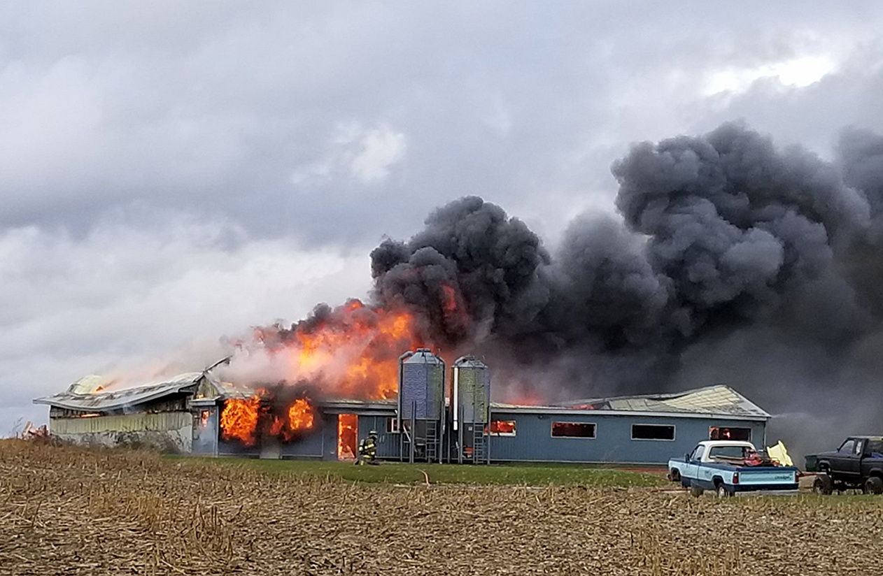 Ontario Barn Fire Near Mount Forest Kills 270 Animals 3 Photos