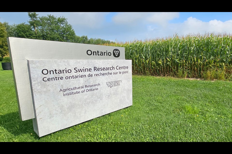 The Ontario Swine Research Centre is located at the Elora Research Station, just south of Elora.
