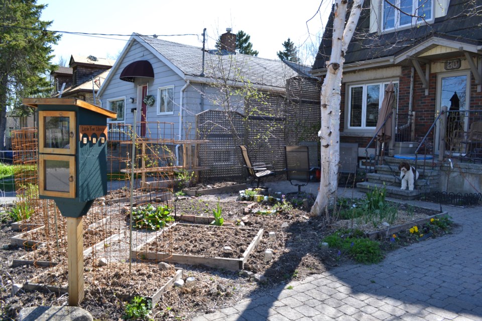 Leigh Taylor's front yard, where he also offers a tiny library. Photo by Brianna Bell for GuelphToday. 