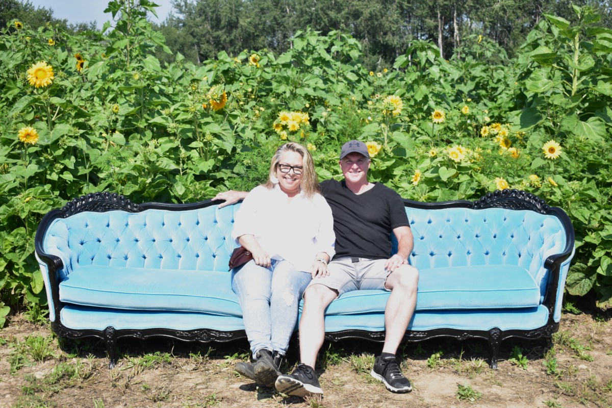 The Sunflowers of Elora pageant open just outdoors Elora (10 pictures)