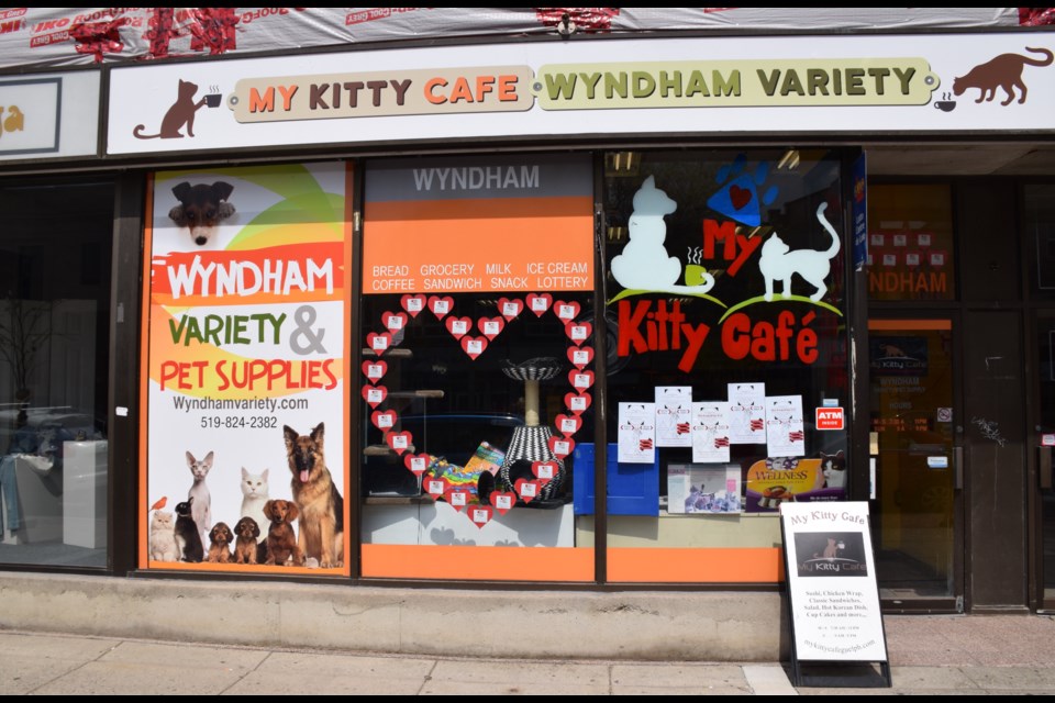 My Kitty Cafe opened last October on Wyndham Street, one of the first of its kind in Ontario. 