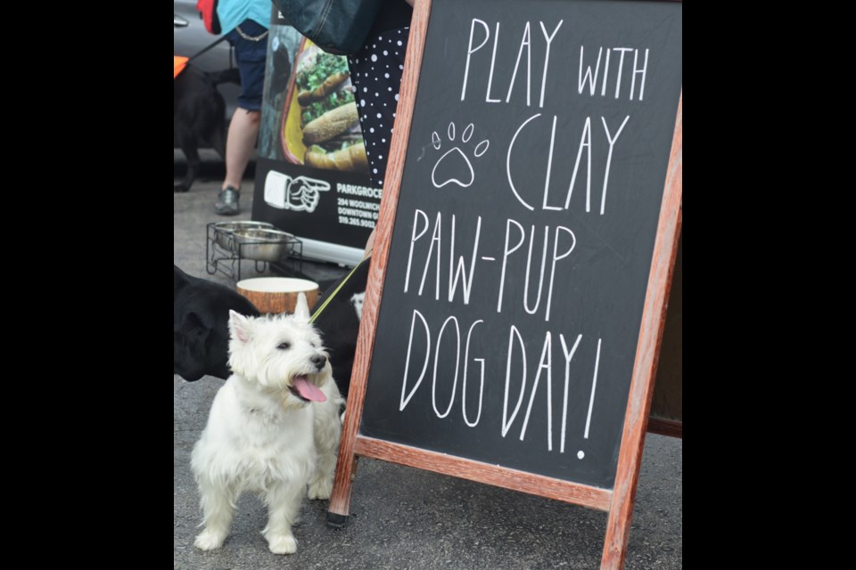 The Play With Clay Paw-Pup Dog Day Saturday at Park Grocery & Deli was a fun way to raise some money for the Guelph Humane Society. Tony Saxon/GuelphToday