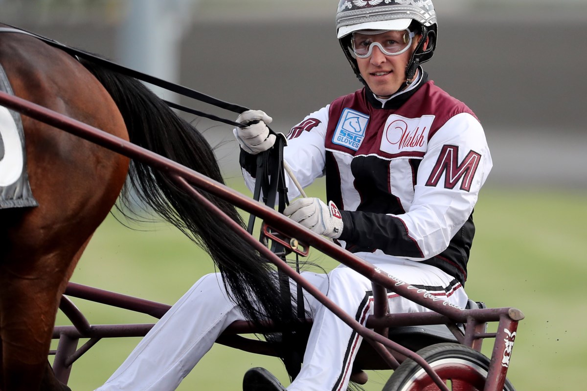 daryl douglas harness racing