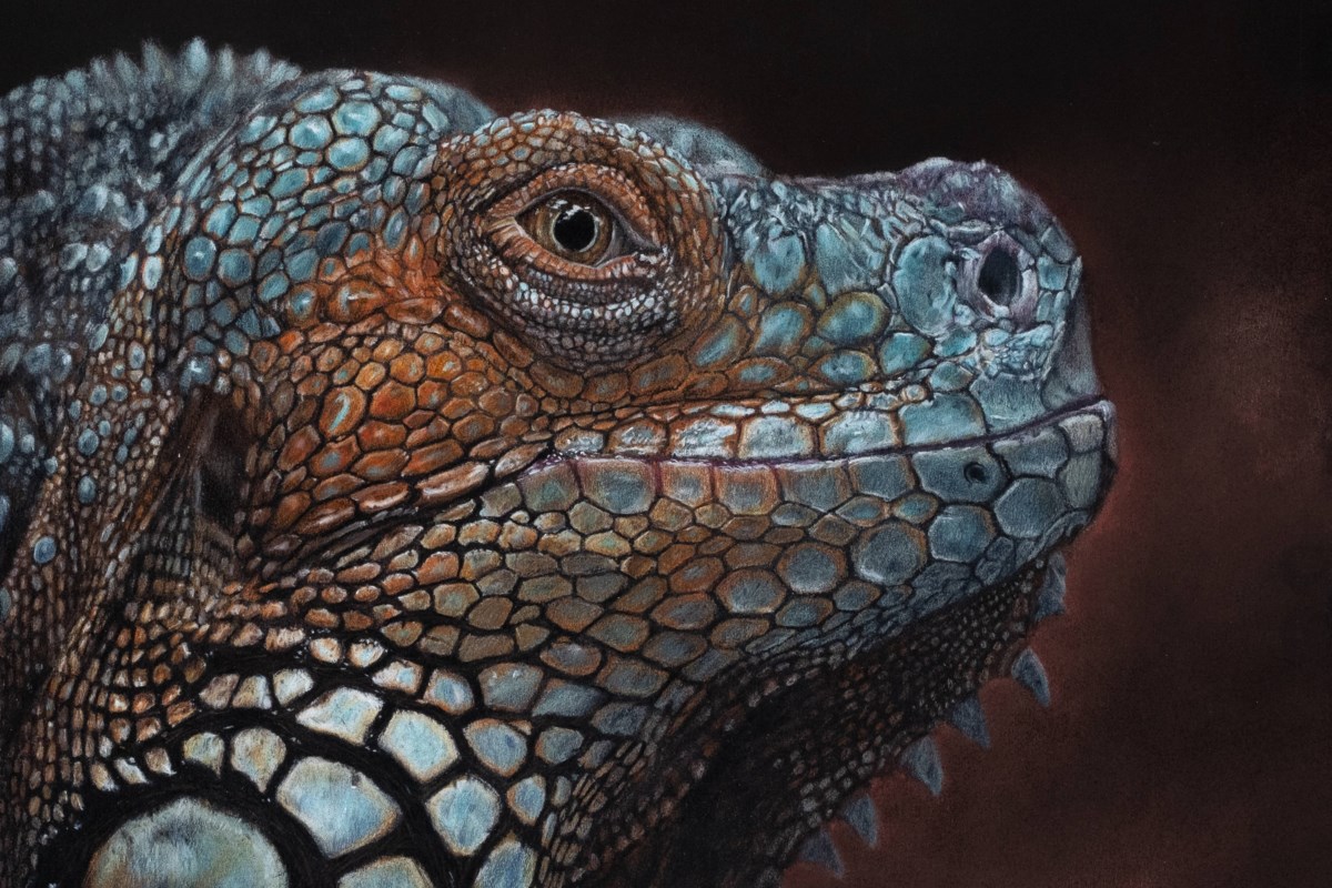 Love of animals leads Guelph artist to create hyper-realistic pet portraits  - Guelph News