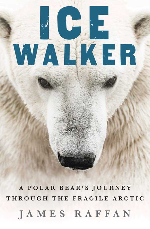Ice-Walker-Cover-600