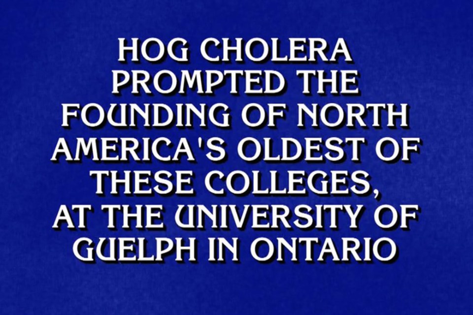 Guelph Jeopardy Mention Screen Grab