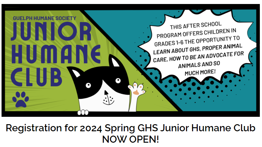 guelph-humane-society_junior-humane-club