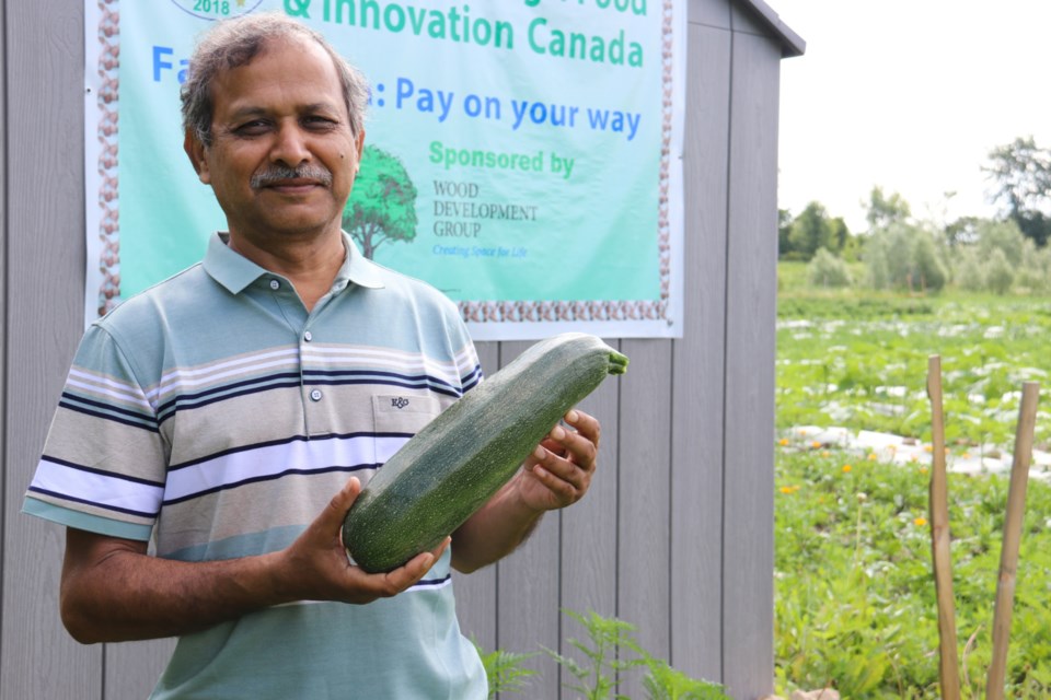 Poritosh Roy holding a zuchinni harvested from the two-acre plot being used to grow produce for the Farm Fresh program. 