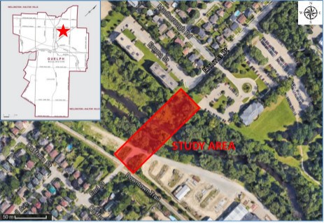 Location of a planned pedestrian bridge connecting Emma and Earl streets over the Speed River. Courtesy of City of Guelph