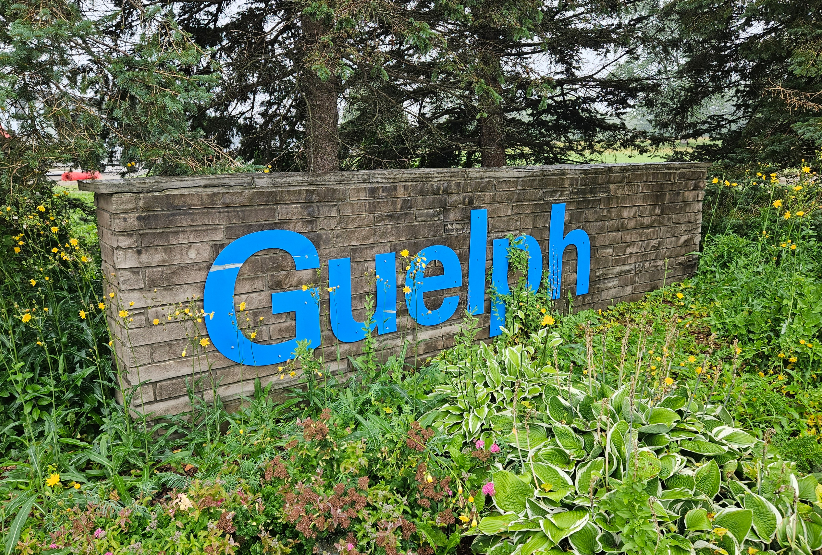 City to remove north end Guelph sign from roadside