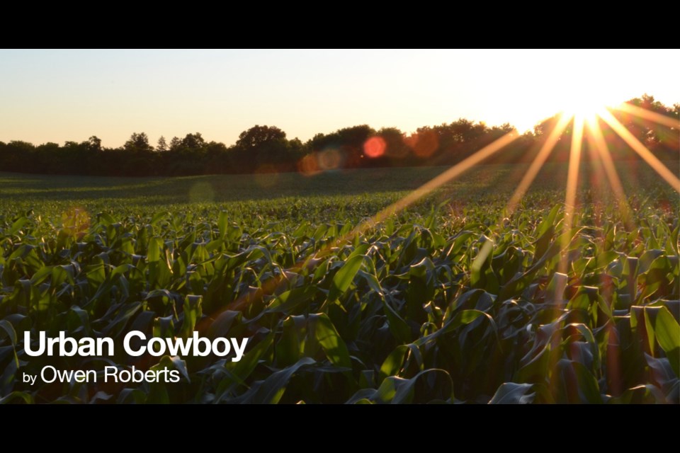 Urban Cowboy is Owen Roberts' weekly look at agriculture and food in Guelph.